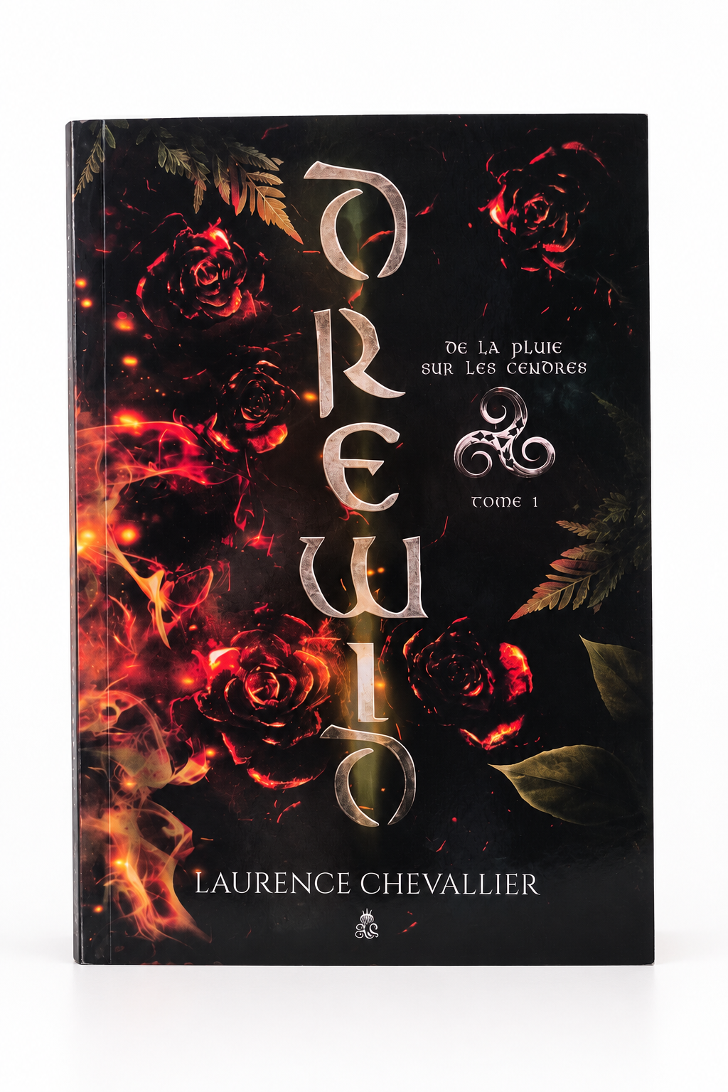 Drewid, Tome 1 : De la pluie sur les cendres
