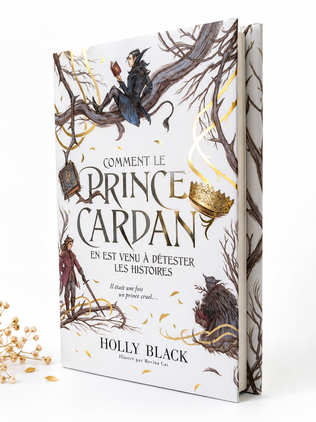 Comment le Prince Cardan en est venu à détester les histoires